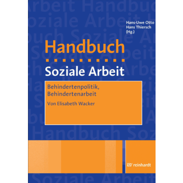 Behindertenpolitik, Behindertenarbeit